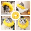 M, Lick Protection Cat, Collar, Cat, Collar, Cats, Collars for