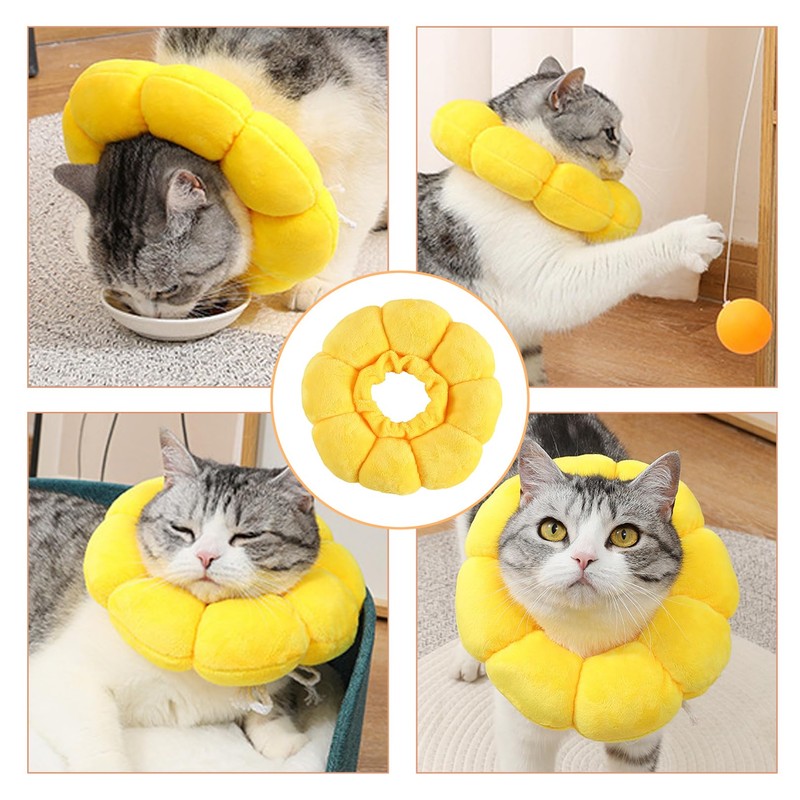 M, Lick Protection Cat, Collar, Cat, Collar, Cats, Collars for