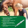 Ramard Total Respiratory & Endurance Syringe for Horses, Equine Vitamin