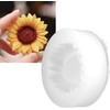 Molde de Silicona, Silicio Orgánico de Calidad Alimentaria de, Refrigerios