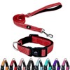 FURRYFECTION Reflective Dog Collar and Leash Set With Quick Release