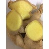EliteKoopers 100g Organic Fresh Natural Ginger Roots For Whole Spices
