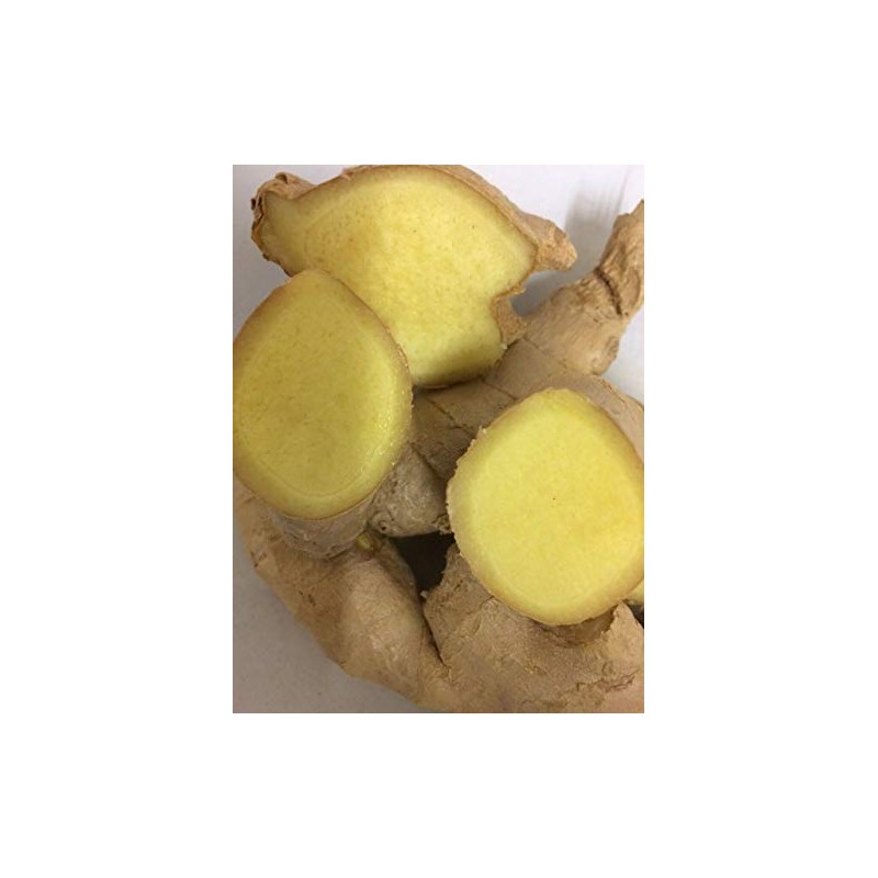 EliteKoopers 100g Organic Fresh Natural Ginger Roots For Whole Spices