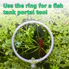 Betta Fish Olympic Ring For Betta Fish Trainning 2 Pack
