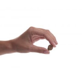 Preen Pets Duck Meatballs Dog Treats (8oz)