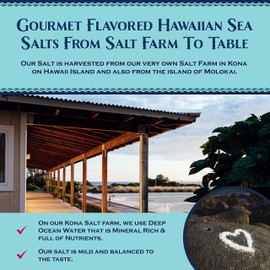 Sea Salts of Hawaii Maui Onion Flavored Hawaiian Sea Salt, 4 Ounce Bottle - Made in Hawaii