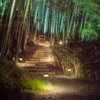 Ensenior 6-Pack Solar Lights Outdoor, Auto ON/Off 3000K LED Solar