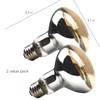 ReptiKing 100W Reptile Heat Lamp Bulbs, 2 Value Pack, Daylight