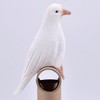 [Rubber Dove] Rubber Pigeon Magic Magic Banquet kakusi芸 Thin, Soft