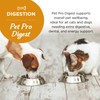 Pet Pro Digest | Advanced Probiotic Digestive Supports for Cats