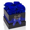 UFOREVER ROSES 4-Piece Preserved Roses in a Box, Preserved Flowers,