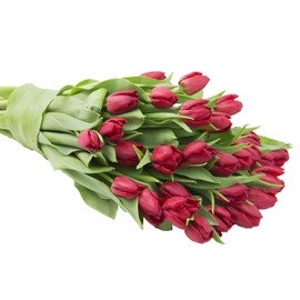 Blooms2Door PRIME NEXT DAY DELIVERY - WEDDING COLLECTION - 30 Red Tulips ( Flowers, Cut-to-Order, and Homegrown in the USA) I Gift for Birthday, Anniversary, Thank You, Mother’s Day Fresh Flowers.