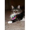 CanCor Original Crinkle Ball (Mini) Crinkle Sounds Cat Toy Mylar