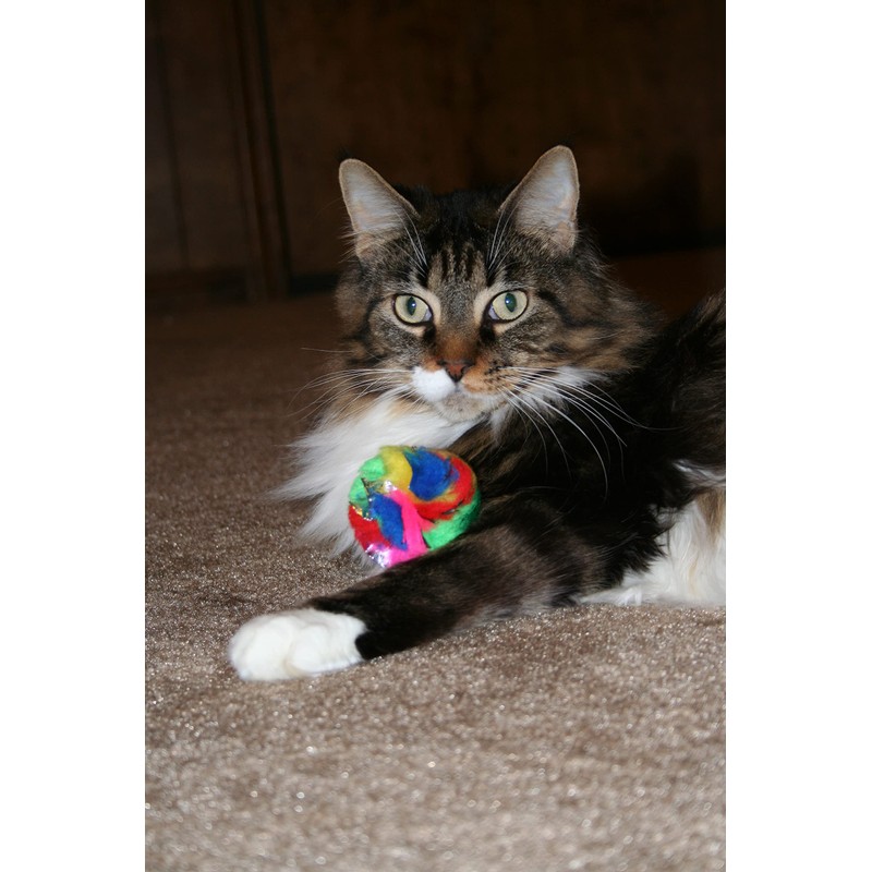 CanCor Original Crinkle Ball (Mini) Crinkle Sounds Cat Toy Mylar