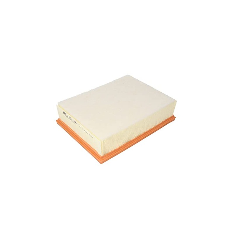 Mann+Hummel C251181 Air Filter