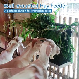 BUYYAH 2Pcs Hay Feeder Goat, 21.5 Gallon Multiple Sided Goat Hay Rack, Heavy Duty Iron 2 in 1 Hay Rack for Sheep, Horses, Goats with Detachable Grain Tray, Effortless Installation in Farm, Yield