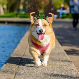 OATIPHO Dog Christmas Elk Reindeer Antlers Headband, Christmas Pets Headwear, Dog Xmas Hair Hoop Christmas Pet Costume for Pet Cat Dog Photo Prop Party Decoration