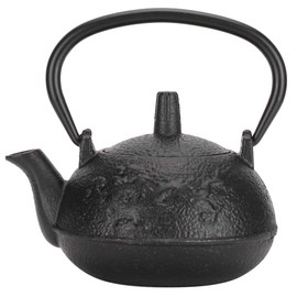 Fdit 0.3L Cast Iron Teapot Tea Set Kettle Imitating Japanese Uncoated Double Chinese Dragon Pattern Gift Decoration For Home