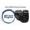 BMP Genuine Carburetor Carb For Kohler 2000 Series RH265 Gas