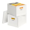 Seseno File Organizer File Box with Lid, Universal Hanging File