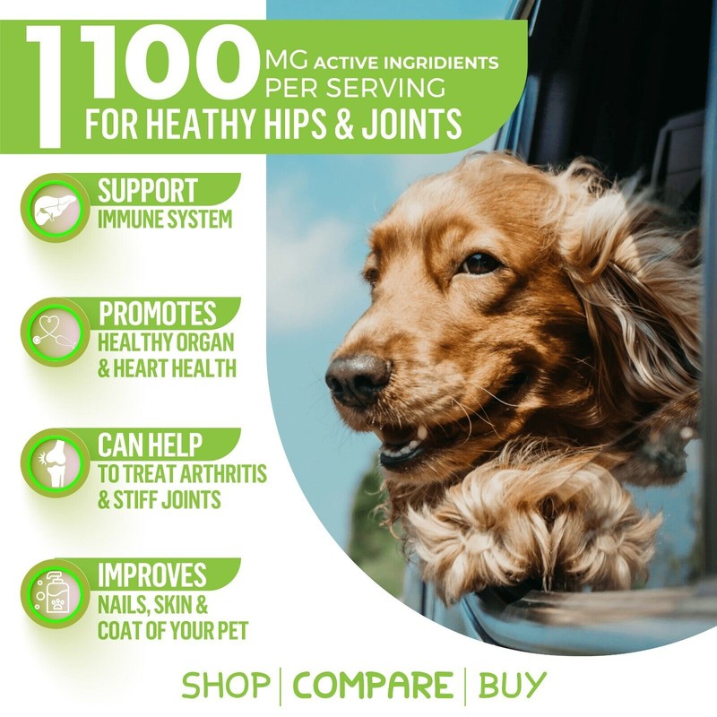 WIZARDPET Hemp Hip & Joint Supplement for Dogs Mobility Glucosamine