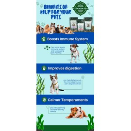 VITAMINSEA Micronutrients for Dogs & Cats | Dried Norwegian Kelp Seaweed Supplement | All Natural Food Additives | Rockweed Kelp Flakes with Flaxseed and Fish Meal for Skin & Coat Health | 6 oz