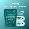 Wellthy Bisglicinato Magnesio Liposomal Cápsulas Entrega Optimizada Mas Alta Biodisponibilidad