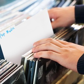 KALLORY 30pcs Vinyl Record Dividers Card Dividers for Vinyl Records Comic Book Storage Shelves with Easy-Write Tabs