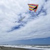 In the Breeze 3329 — 72-inch Rainbow Stripe Delta Kite