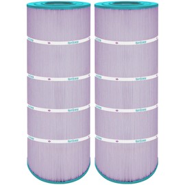 Hurricane Filters 2 Pack HF8316-01P Platinum Purple Pool Filter Cartridge - Replacement for PXST150, Unicel C-8316, Filbur FC-1286, Hayward X-Stream CC1500