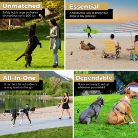 ROYAL PAW Dog Tie Out Cable and Stake 30ft - for Large Dogs up to 300 lbs - Heavy Duty Tether and Dog Stake for Yard, Beach & Camping Outside (Black, L/XL - 30ft)