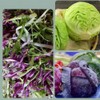 Stainless Steel Handheld Vegetable Chopper - Chip Cutter, Fruit Slicer,