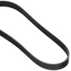 Dayco 6PK800 Poly Rib Belt