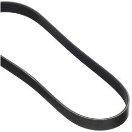 Dayco 6PK800 Poly Rib Belt