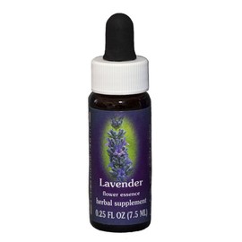 FES Lavender Quintessentials 7.5ml