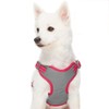 Blueberry Pet Essentials Pastel Color Reflective Matching Dog Harness Vest