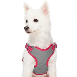 Blueberry Pet Essentials Pastel Color Reflective Matching Dog Harness Vest and Seatbelt Set in Very Berry, Adjustable Harness with Durable Safety Car Vehicle Seatbelt for Small Dogs