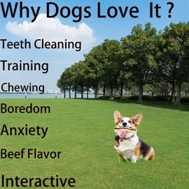 SPEREELER Dog Bones Chew Toys for Aggressive Chewers, 3 Pack Real Beef Flavor,Indestructible Dog Teething Chew Toys for Large/Medium/Small Breed,Tough Dog Toy with Durable Nylon