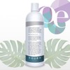Organic Excellence Mint Shampoo, 16 Ounce