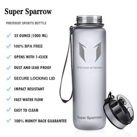 Super Sparrow Unisex-Adult, Boys, Girls, Women's, Men's X-Grey-17oz Water Bottle, Grey, 500ml-17oz