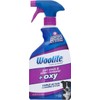 Reckitt Benckiser Woolite Pet Stain, 22 oz