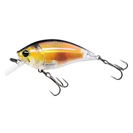 Yo-Zuri 3DR Shallow Crank Floating Lure, 2 3/4", Real Golden Shiner