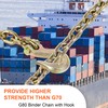 AAINHeavy Duty Chain 3/8" x 20" G80 Tow Chains with