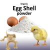 1 lb Organic egg shell powder use as Fertilizer or
