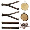BNOSDM 6 Packs Wood Sugar Glider Toys Wooden Sugar Glider