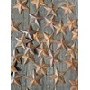 Group of 100 Rusted Metal Stars with Hole for Decorating