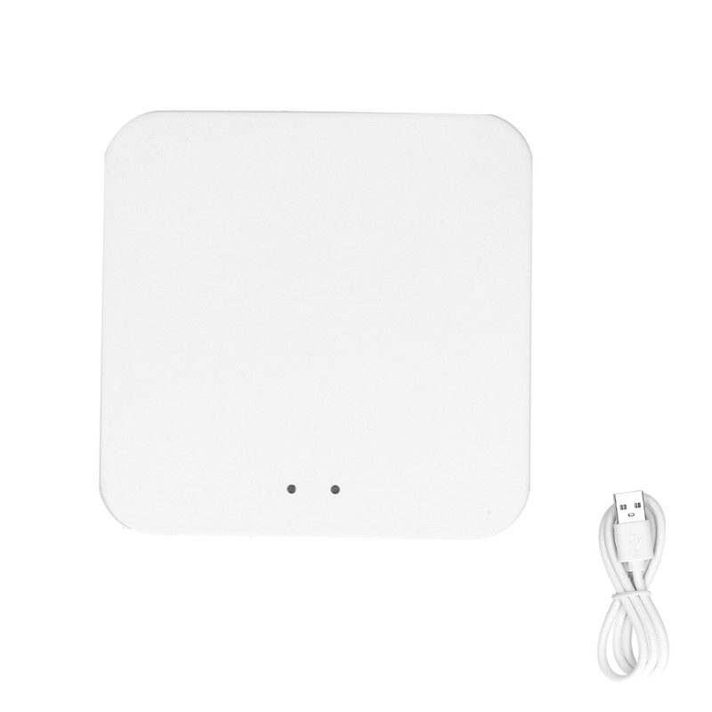 Intelligent Wireless Gateway Hub WiFi 802.11 B/g/n AI Voice Control