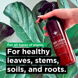 Big Leaf Energy (16 FL OZ) Organic Neem Oil Spray for Plants + Essential Oils : Ready to Use Plant Wash for Indoor Houseplants & Outdoor Gardens, Natural Leaf Shine