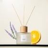 Earth Therapy Wood Diffuser Lavender-Orange 100ml / 어스 테라피 우드 디퓨저 라벤다-오렌지 100ml