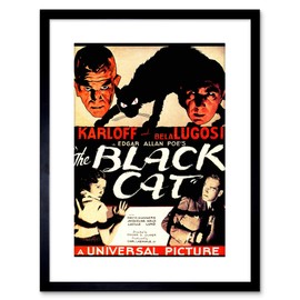 Wee Blue Coo MOVIE FILM BLACK CAT LUGOSI KARLOFF CRIME HORROR DRAMA FRAMED PRINT F97X4106